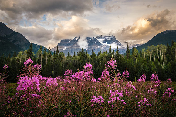 Mount Robson
