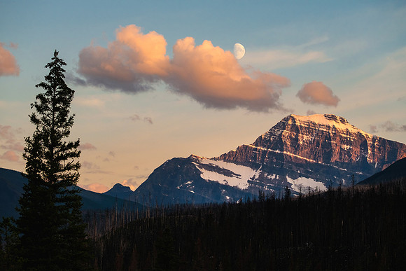 Mount Edith Cavell