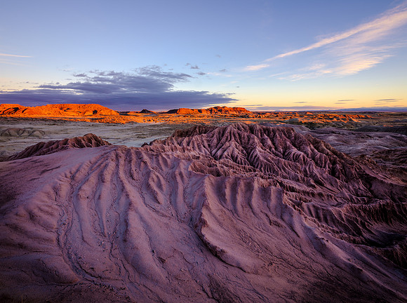Petrified Forest Wave