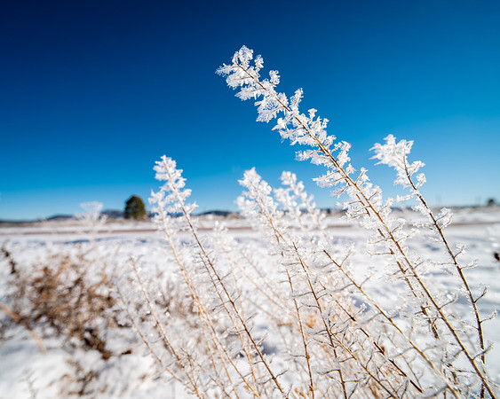 Ice Wisps