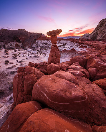 Toadstools