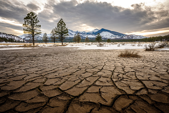 Cracked Earth