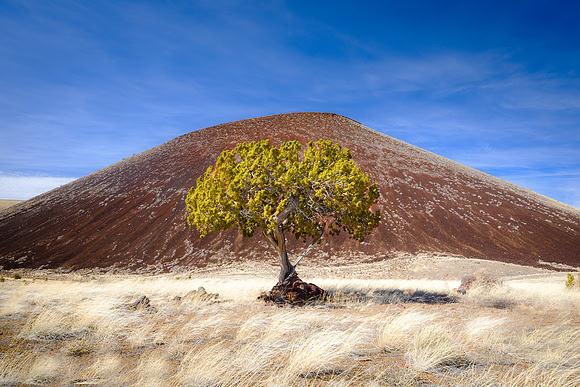Crater and Tree