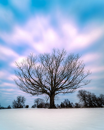 Winter Solitude