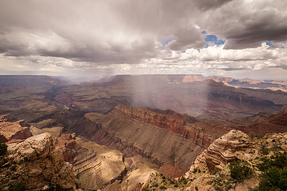 Monsoon Shower
