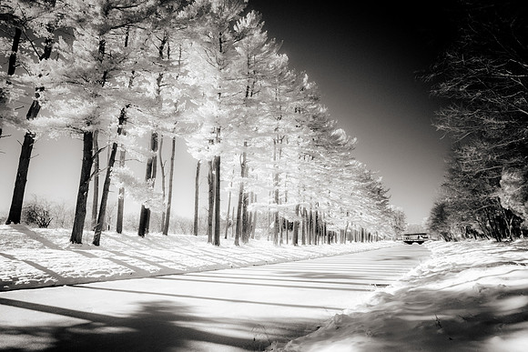 Jericho (Infrared)