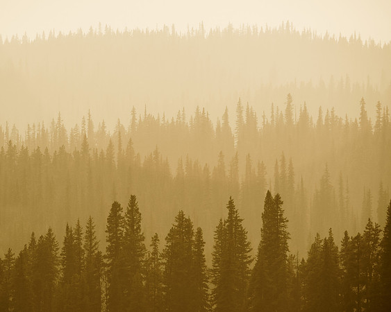 Through the Haze
