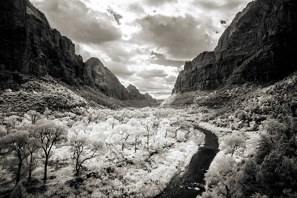 Zion Canyon (Infrared Image)