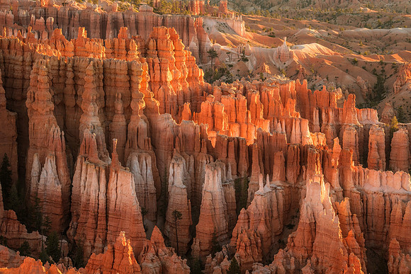 Hoodoo View