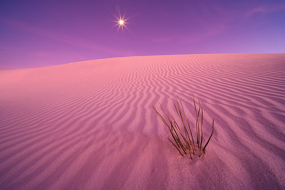 Moonstar on the Dunes