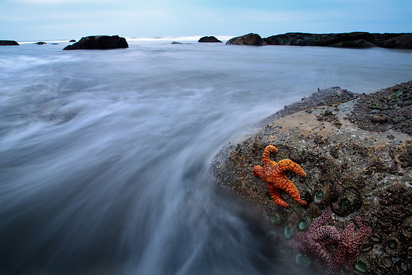 Time and Tide