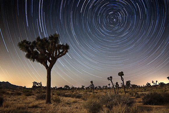 A Night Beneath the Stars